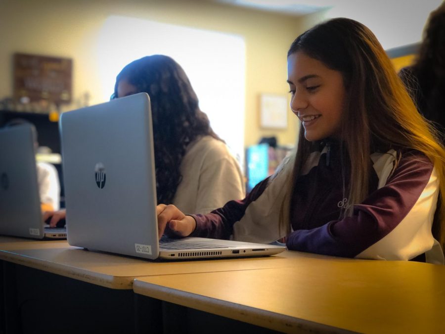 Freshman%2C+Sophia+Cortez%2C+is+working+on+her+new+project+in+class+on+the+laptop.