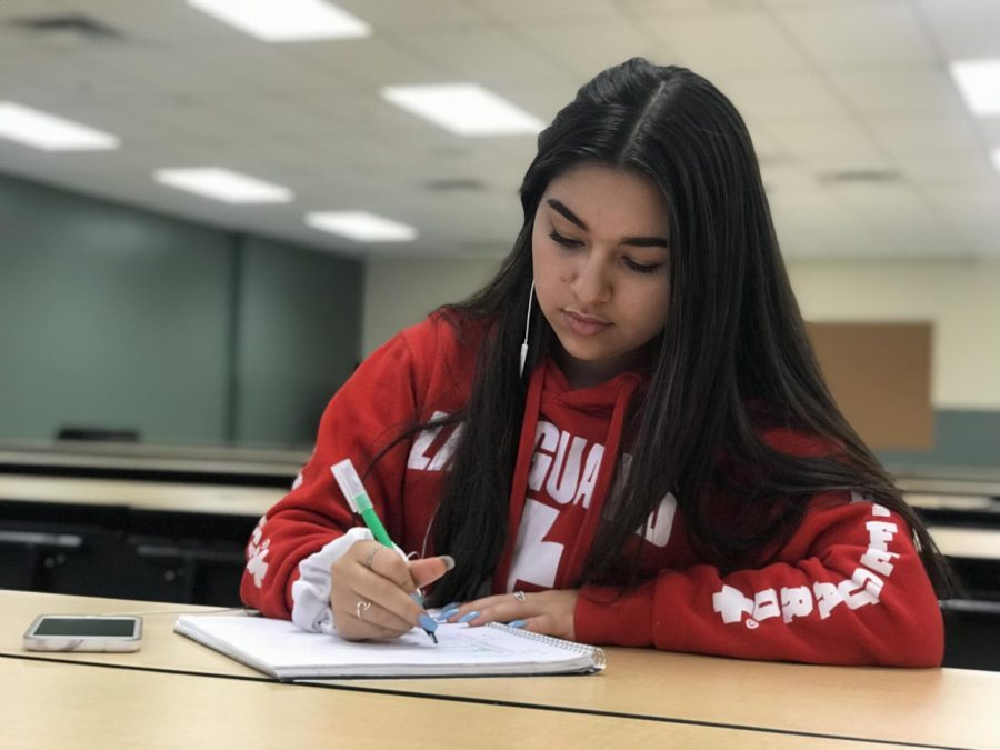 Freshman, Nicole Caicedo, highlighting her notes to help her study for the permit.