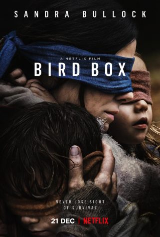 Bird Box film poster now streaming on Netflix. (Merrick Morton/Netflix)