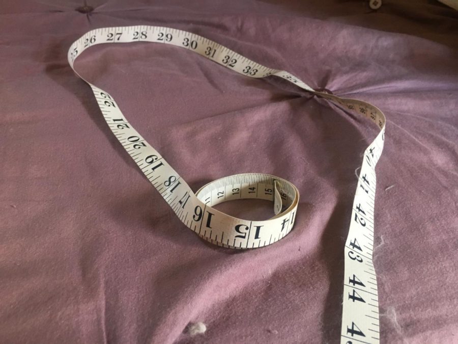 Photo+of+measuring+tape.+