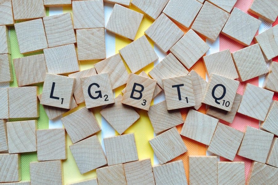 The acronym LGBTQ+ stands for Lesbian, Gay, Transgender, Queer, and plus.