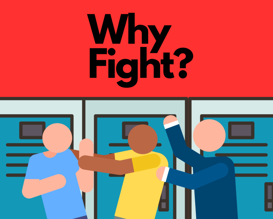 Why+Students+Fight+in+School%3F