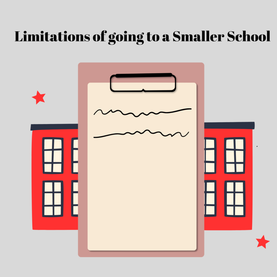 Students+have+mixed+opinions+on+going+to+a+smaller+school.+